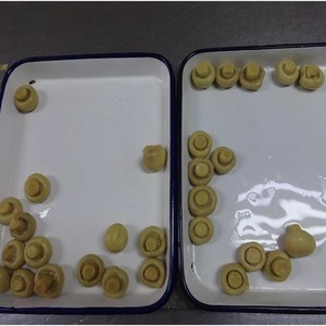 מיקאדו סיטונאי שימורים שמפיניון פטריות מחירים למכירה - Product Image 5