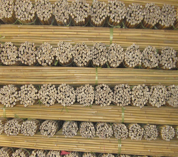 Tonkin бамбуковые стойки, садовые цветы, подставка для натурального дерева