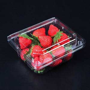 Wholesale Hign-quality Blister Packaging Disposable Plastic Clear PET Box Plastic Fruit Tray