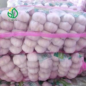 Aglio fornitore dalla cina/AJO ALHO Ail - Product Image 5