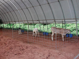 Ferme élevage <span class=keywords><strong>abri</strong></span>, Tente animal, <span class=keywords><strong>Abri</strong></span> <span class=keywords><strong>voiture</strong></span>, Tente de stockage de - Product Image 3