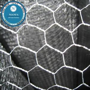 AISI 304 Dây Thép Không Gỉ Gà/Gà Coop Sáu Phương Wire Mesh (Nhà Máy Quảng Châu)