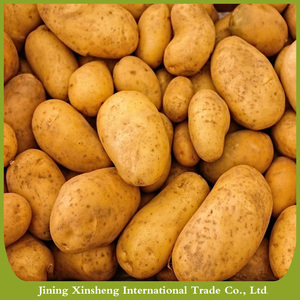 Prix frais de patate douce - Product Image 2