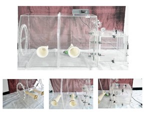 Acrylic glove display box can be used in a variety of applications - Product Image 3