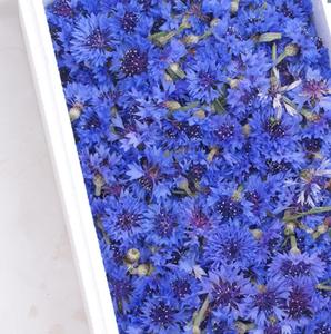 Fiori di <span class=keywords><strong>fiordaliso</strong></span> di bluebottle a bottone intero essiccato blu naturale - Product Image 4