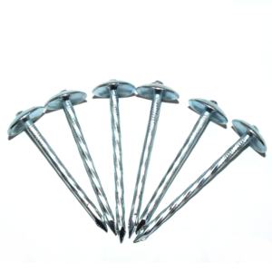 Clous à calamine, clous ondulés 1 <span class=keywords><strong>kilo</strong></span> 20 sacs <span class=keywords><strong>prix</strong></span>, 2.5 "* clous à toiture BWG9 - Product Image 4