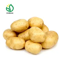 Holland Fresh Potato Seed, Seeds Price for Sale