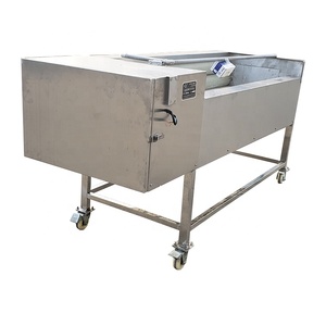 Gong Li fruta fresca cepillo de rodillo de maní máquina de lavado cepillo de guayaba de limpieza máquina de pelar - Product Image 6