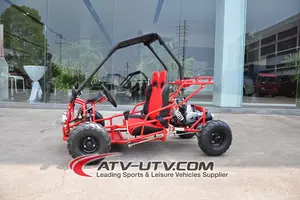 110cc mini buggy voor kinderen