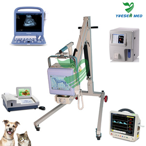 Bañera de Acero Inoxidable para Mascotas Ysenmed Vet, para Bañar Perros y Gatos, <span class=keywords><strong>en</strong></span> <span class=keywords><strong>Venta</strong></span> - Product Image 3
