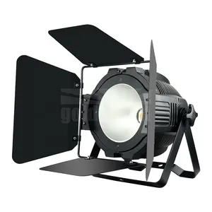 따뜻한 쿨 화이트 COB 파 빛 LED 픽셀 제어 블랙 무대 램프 배플 청중 무대 조명