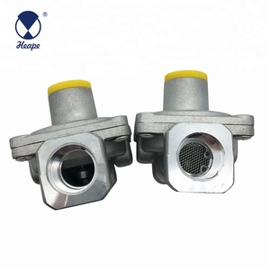 HEAPE Rifornimento Della Fabbrica Piccolo Regolatore del Gas Naturale - Product Image 5
