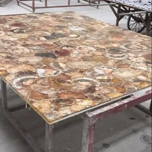 家居装饰天然圆形棕色石化木咖啡桌顶