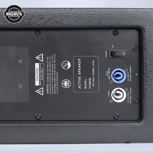Alto-falante de série de 10 polegadas ativo, sistema de som com subwoofer de 18 polegadas - Product Image 5