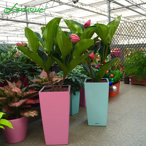Pots hauts légers Leizisure pour décoration intérieure, grands pots à fleurs en plastique auto-arrosants - Product Image 6