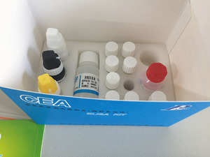 OEM For ELISA <strong>Test</strong> Strips Clinical Reagent <strong>Medical</strong> Laboratory <strong>CEA</strong> <strong>Test</strong> Reagent - Product Image 5