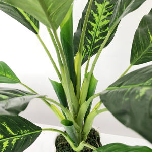 Planta de plástico artificial para decoración <span class=keywords><strong>interior</strong></span>, bonsái para el hogar y la Oficina de gran calidad al aire libre, evergreen - Product Image 3