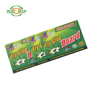 Bay Keo Giấy Bay Bẫy Venus Fly Trap