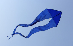 Grand <span class=keywords><strong>cerf</strong></span>-<span class=keywords><strong>volant</strong></span> fantôme populaire facile à faire voler à vendre - Product Image 2