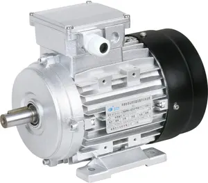 Three phase asynchronous axial electric motor