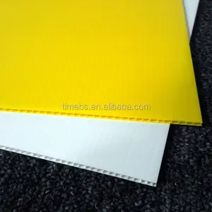 PP Corrugated / corflute/ flute/cartonplast plastic board / sheet