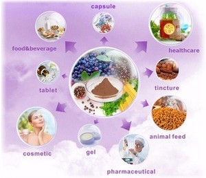 Hoge Kwaliteit Natuur ruscus aculeatus wortel extract/Slager bezem extract - Product Image 2