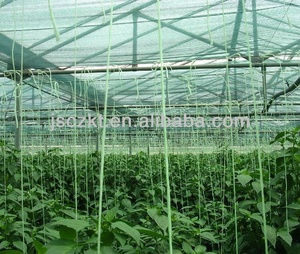 Uv Xử Lý Nông Nghiệp <span class=keywords><strong>Pp</strong></span> Cà Chua <span class=keywords><strong>Twine</strong></span> Chuỗi Nhà Máy - Product Image 1