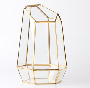 Glas pflanzen box Unregelmäßiges geometrisches <span class=keywords><strong>Terrarium</strong></span> glas - Product Image 4