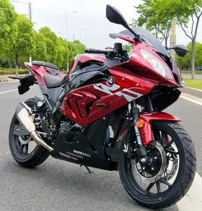 赛车模型摩托车 RSM-BM 200cc 出售