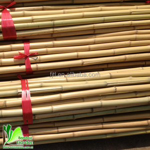 Varas y Cañas de Bambú Amarillo Natural Ecológicas con Diámetro y Longitud Personalizables para Soporte de Plantas - Product Image 6