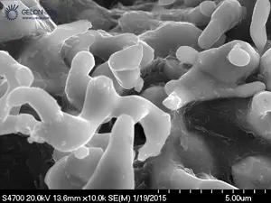 Yüksek saflıkta % 99.99% demir tozu Fe tozu - Product Image 5