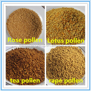 <span class=keywords><strong>Pollen</strong></span> d'abeille 2026 pour l'alimentation des abeilles - Product Image 2