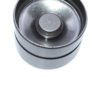Lève-Personne hydraulique Poussoirs Suiveur Pour le Scarabée de VW Jetta <span class=keywords><strong>Golf</strong></span> Passat Touareg 1100677,1426035,038109309A,038109309B,038109309C - Product Image 5