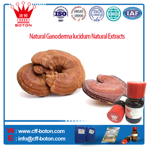 Naturel Ganoderma lucidum Extraits Naturels - Product Image 1