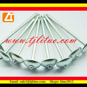 Fabbrica di buon prezzo del tetto del chiodo con la tazza rotonda made in china - Product Image 3