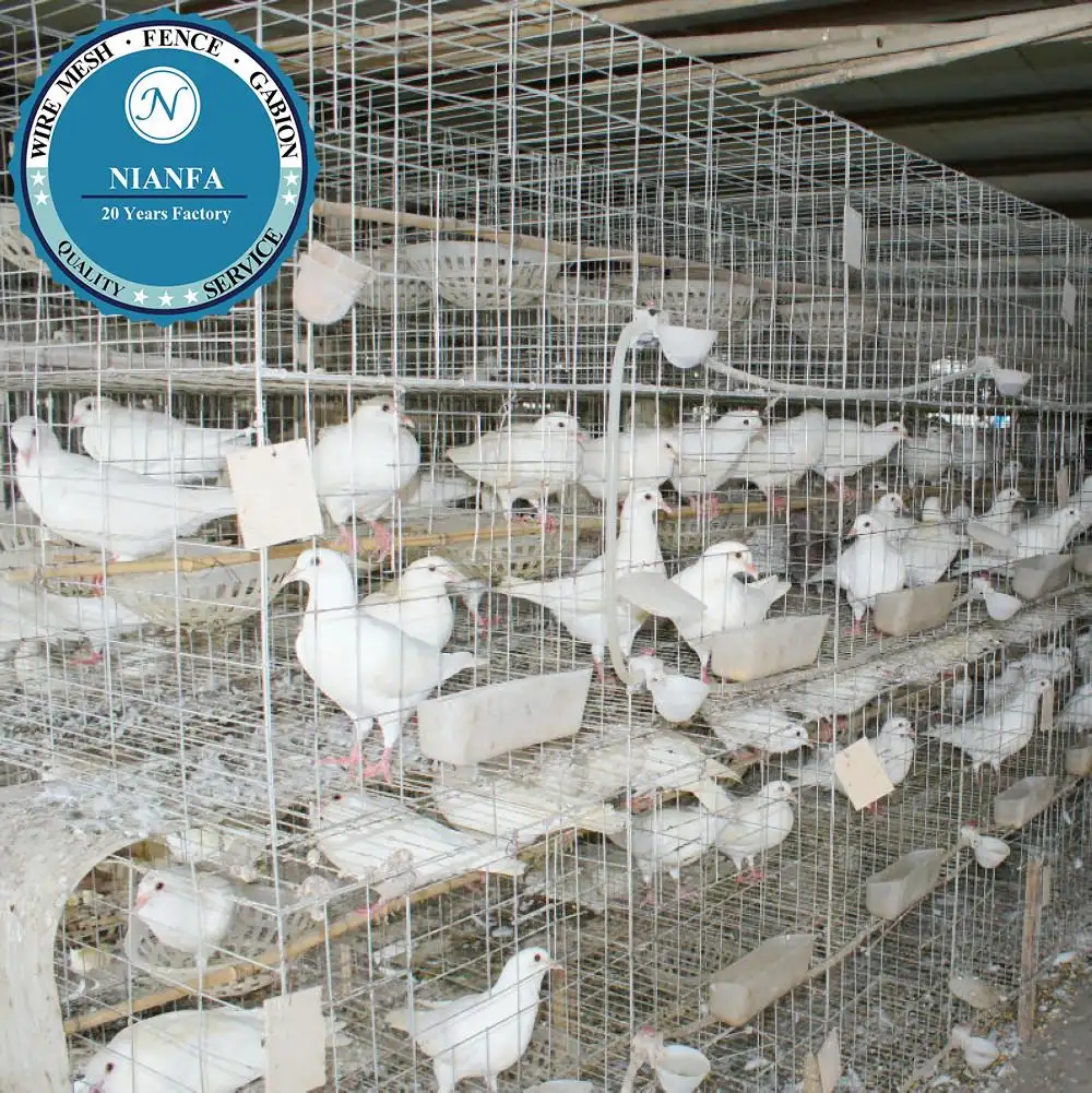 2015 Trade Assurance H type Galvanized Breeding Pigeon Cage(Guangzhou Factory)