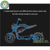 800W elektrik scooter Moto Électrique Miku Max (Euro 4)