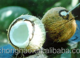 ผงมะพร้าวแท้ราคาส่ง ขายส่งผงกะทิสำเร็จรูป - Product Image 4