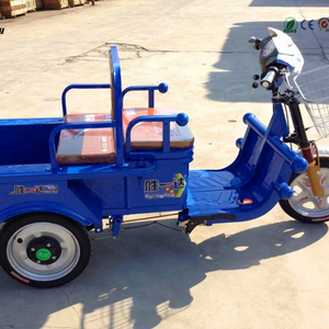 2023 piccolo triciclo elettrico a <span class=keywords><strong>tre</strong></span> <span class=keywords><strong>ruote</strong></span> <span class=keywords><strong>bicicletta</strong></span> elettrica 48 v500w - Product Image 5