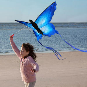 Fácil de juguete al aire libre mantequilla cometa para los niños con precio barato - Product Image 4