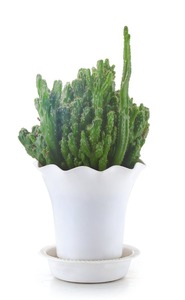 Hermosa automático de riego pequeñ<span class=keywords><strong>a</strong></span> maceta de plástico - Product Image 2