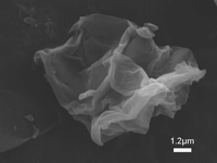 Poudre de charbon actif de qualité industrielle, prix pour l'utilisation de supercondensateurs