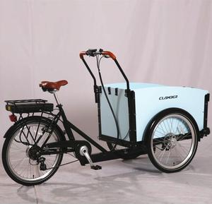 Vélo cargo électrique à 3 roues 36V 7 vitesses 24 pouces Design familial <span class=keywords><strong>hollandais</strong></span> <span class=keywords><strong>Tricycle</strong></span> de type ouvert - Product Image 3