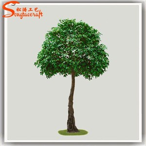 Nueva Artificial <span class=keywords><strong>Buxus</strong></span> 1.2 m para interior o exterior decoración / Artificial de la bahía árboles baobab árboles venta - Product Image 5