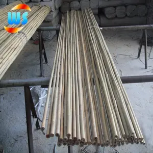 Bamboo Poles Export Bamboo Stick Bamboo Poles For Garden