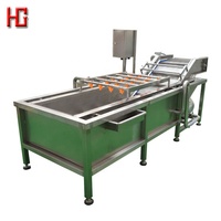 Hoge Capaciteit Bubble Cleaning Wasmachine/Luchtbel Wasmachine Voor Cactusvijg Apple Aardbei Mango