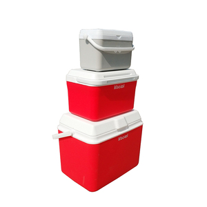 Xách Tay Ba-miếng 4L + 8L + 20L Giá Rẻ Thiết Lập Nhựa Ice Ngực Mát Hộp - Product Image 1