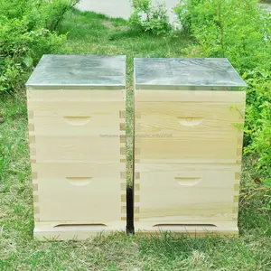 Melhor qualidade do mel apicultura colméia colméias de fornecedor Austrália