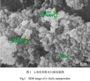 عالى النقاء 99.9% غاما الألومنيوم أكسيد النانوية سعر نانو مسحوق ألومينا Al2O3 Nanopowder ل Cataysts - Product Image 2
