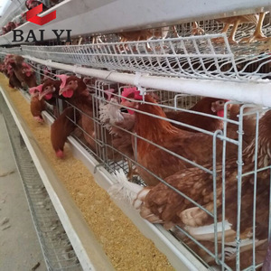 Bâtiment d'élevage de poulets, <span class=keywords><strong>poulailler</strong></span> pour <span class=keywords><strong>poules</strong></span> pondeuses au Nigéria - Product Image 4